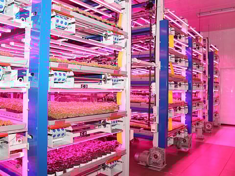 Abu Dhabi has been going big on pulling in the latest techniques into agriculture methods. The emirate is also assigning more land for such purposes. Picture is used for illustrative purposes.