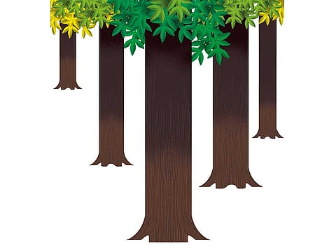 Ramachandra Babu/Gulf News