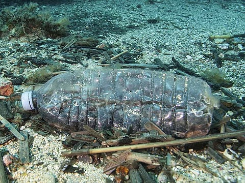 The amount of plastic pollution in the world's oceans is still growing.