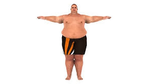 ‘Fat-but-fit’ won’t keep the doctor away