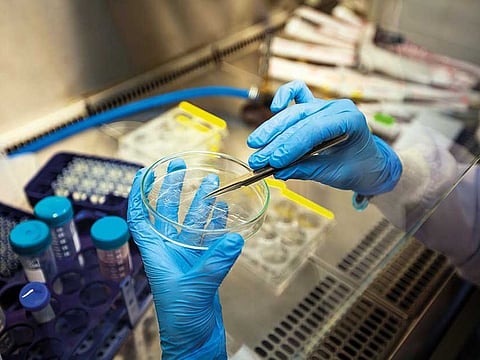 Getty Images/iStockphoto