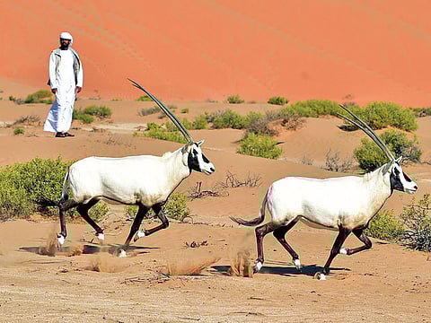 Ahmed Kutty/Gulf News Archives