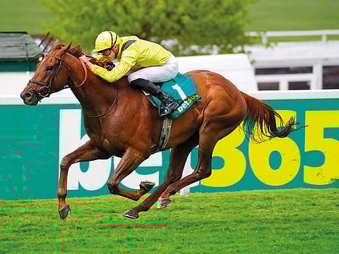 Addeybb won the Champion Stakes at Ascot