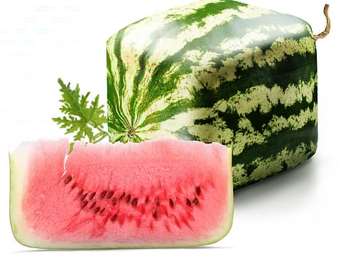 The argument for accepting GM food