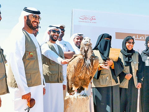 Courtesy: Dubai Municipality