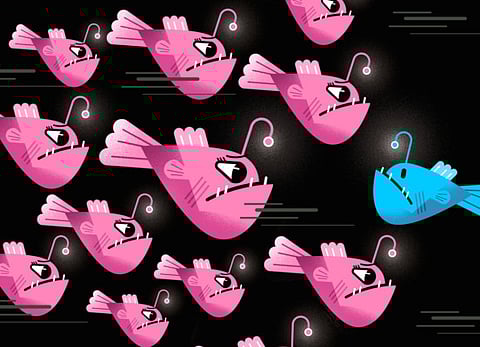 Does sexual inequality exist throughout animal kingdom?