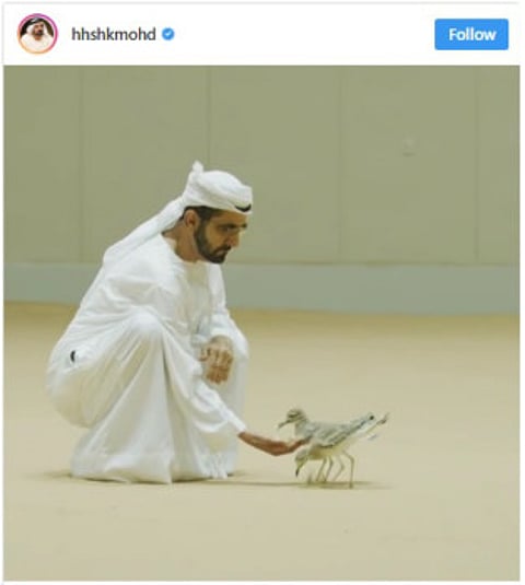 Top 7 social media trends