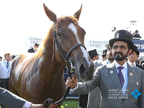 Twitter/Dubai Media Office