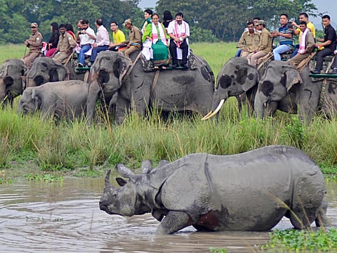 Of bridges and returning to roots