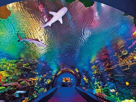 Wildlife Conservation Society