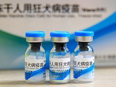 Bottles of rabies vaccines made by Liaoning Chengda are seen at a Chinese Centre for Disease Control and Prevention (CDC) station in Jiujiang in southern China's Jiangxi province.