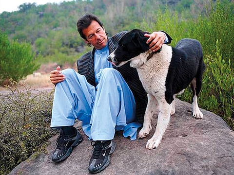 Courtesy: Social media