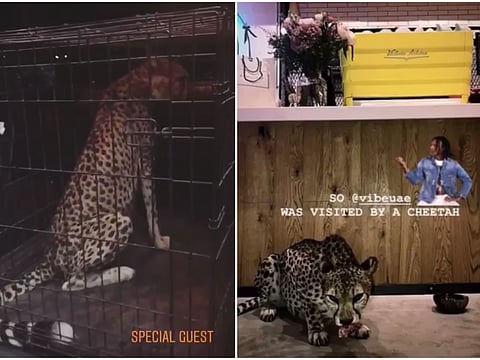 instagram.com/VibeUAE