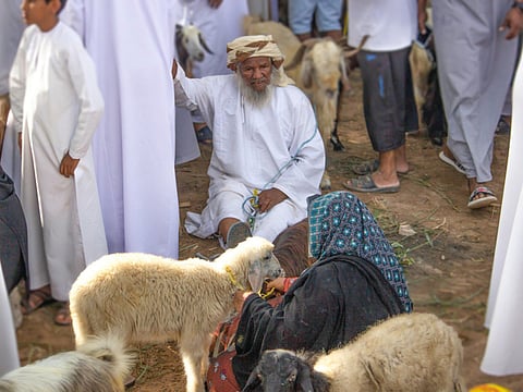 Omanis flood Habta livestock markets on Eid