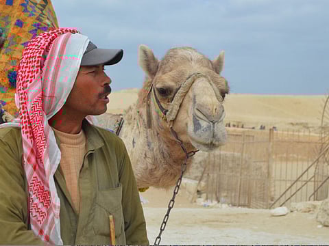 National Geographic Abu Dhabi photography contest receives 40,000 entries from Arab world