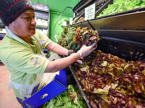 Antonin Kelian Kallouche/Gulf News