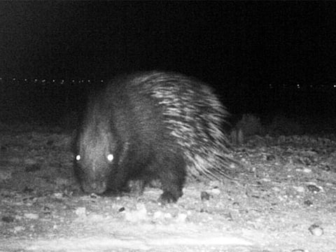 Abu Dhabi Environment Agency