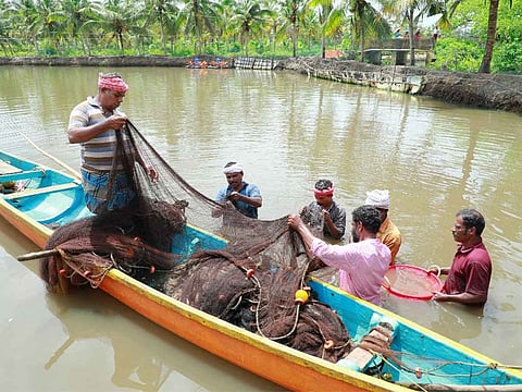 Titus S Kumar/Gulf News