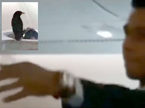 Screengrabs from the viral video