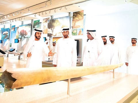 His Highness Shaikh Mohammad Bin Zayed Al Nahyan, Abu Dhabi Crown Prince and Deputy Supreme Commander of the UAE Armed Forces, inspects an item on display during a tour of the Shaikh Zayed Desert Learning Centre at Al Ain Zoo. He was accompanied by Ganem Al Hajiri, Director General of Al Ain Zoo.