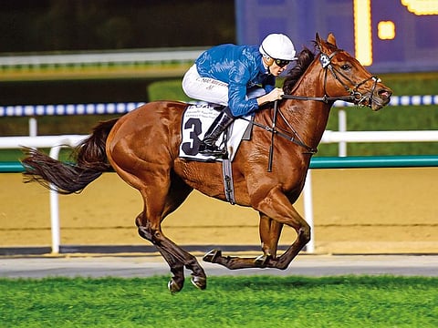 Dream Castle, ridden by jockey Chrostophe Soumillon and trained by Saeed Bin Suroor wins the Al Rashidiya race on Dubai World Cup Carnival night at Meydan racecourse on Thursday 24 January 2019.