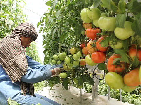 Photo for illustrative purpose