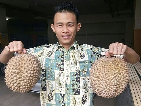This undated handout photograph released on January 30, 2019 by Asia Supermarket Plaza Asia shows a man holding a pair of durians that sold for 14 million rupiah (990 USD) per fruit, in Tasikmalaya