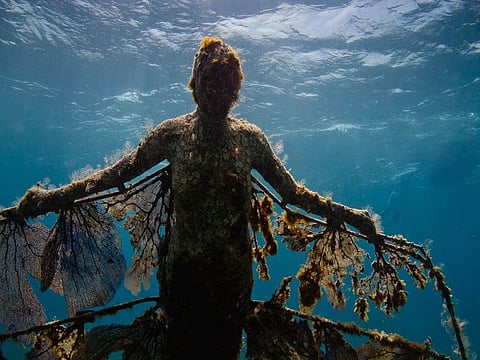 Cancun Underwater Museum
