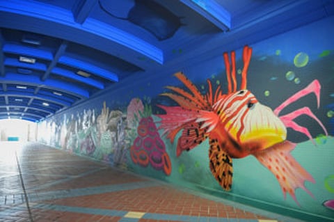 Artwork adorns Abu Dhabi Corniche underpasses