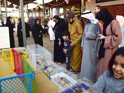 Visitors take a look at the various birds and animals on display in makeshift pet shops at Souq Al Shanasiyah.