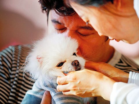 Kang Sung-il and his wife Ham Jin-seon play with their pet dog Sancho at their home in Incheon.