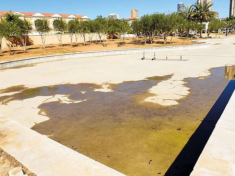 The growth of mold and spread of mosquitoes are potential problems after heavy rains. Eliminating sources of standing water is one of the measures to prevent them.