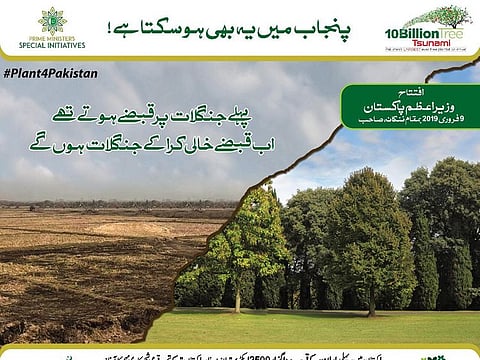 Pakistan aims to reclaim land from mafia, turn it into forests with 10 billion trees