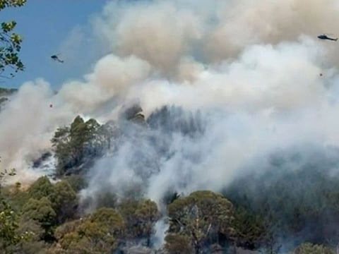 Helicopters drop water on a wildfire coming over a ridge near a residential area, Friday, Feb. 8, 2019, in Wakefield, New Zealand. About 700 residents were evacuated from a New Zealand town on Friday as a forest fire threatened the area