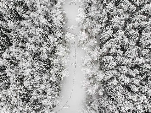 This aerial picture taken on February 13, 2019, shows footprints on the ice of a frozen river in a forest during snowfall near the village of Troitskoye outside Moscow.