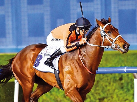 Royston Ffrench is a regular rider in the UAE during Winter.