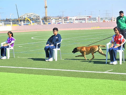 A sniffer dog is put through the paces during a Dubai Police K9 squad demonstration at Global Indian International School (GIIS) in Al Barsha, Dubai.