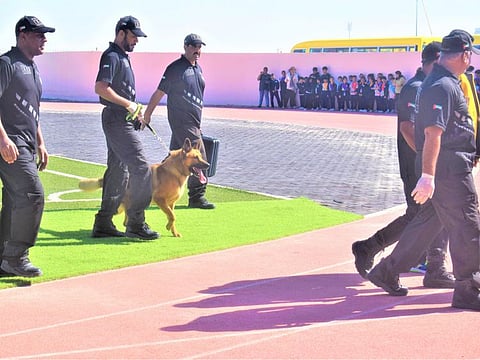 The Dubai Police winter camp will give students a chance to get up close with the K9 Unit, among other things.