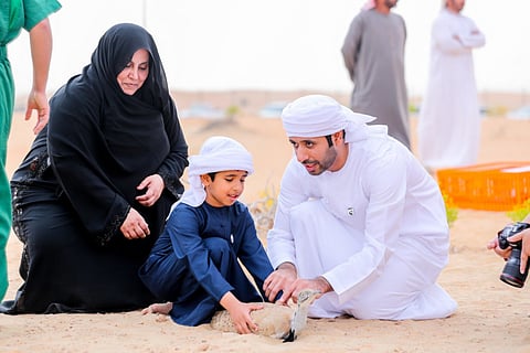 50 houbara released into Al Ain desert in the UAE