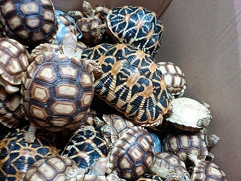 Photo for illustrative purposes only.