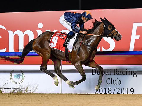 Capezzano is the one to watch in the Dubai Creek Mile at Meydan