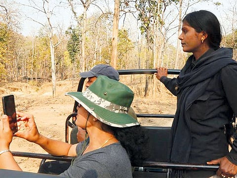 Varsha Hinge, a female safari guide, shows tourists around at Pench Tiger Reserve in central Madhya Pradesh state, India