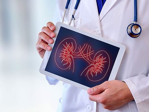 Organ recipients share home truths on World Kidney Day