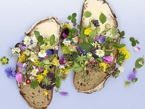 Food outlets in Dubai are no longer allowed to use flowers of petals as decoration or as part of a meal, according to Dubai Municipality.