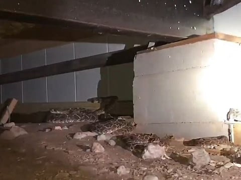 Texas man had 45 snakes living under his house.