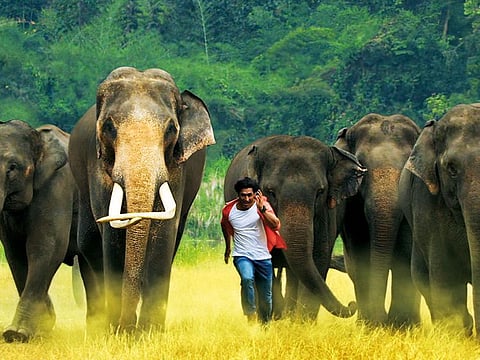 Vidyut Jammwal enters the wild in ‘Junglee’