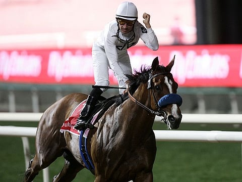 Well Armed ridden by jockey Aaron Gryder wins the Dubai World Cup at Nad Al Sheba course