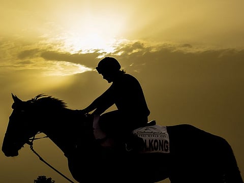 Dolkong from South Korea seen during morning trackwork at Meydan.