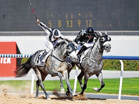 AF Maher (right), ridden by Tadhg O’Shea, wins the Kahayla Classic last year