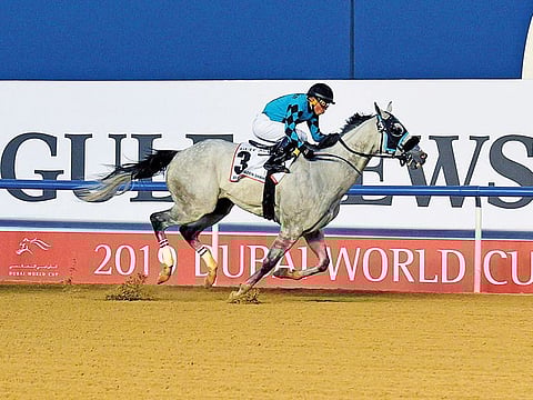 Dubai Golden Shaheen, the prestigeous sprint event of the Dubai World Cup night, had been sponsored by Gulf News from the first edition of the showpiece in 1996.